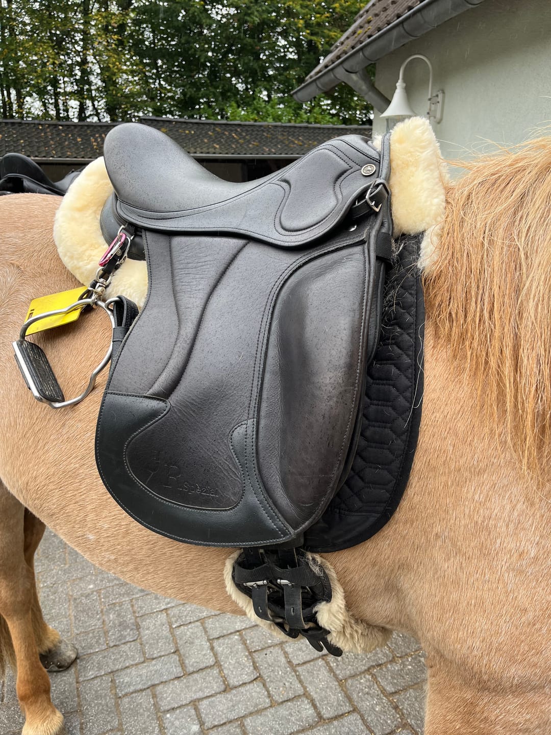 Customer photo review of Engel - Lammfell Satteldecke Sadek2