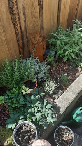 Customer photo review of Gartenstecker Eule