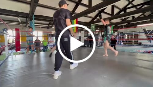 Customer video review of Eryx Teal Carbon High Split Shorts