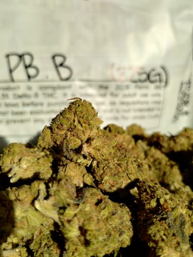 Customer photo review of Cheap THCA Flower Half Pound