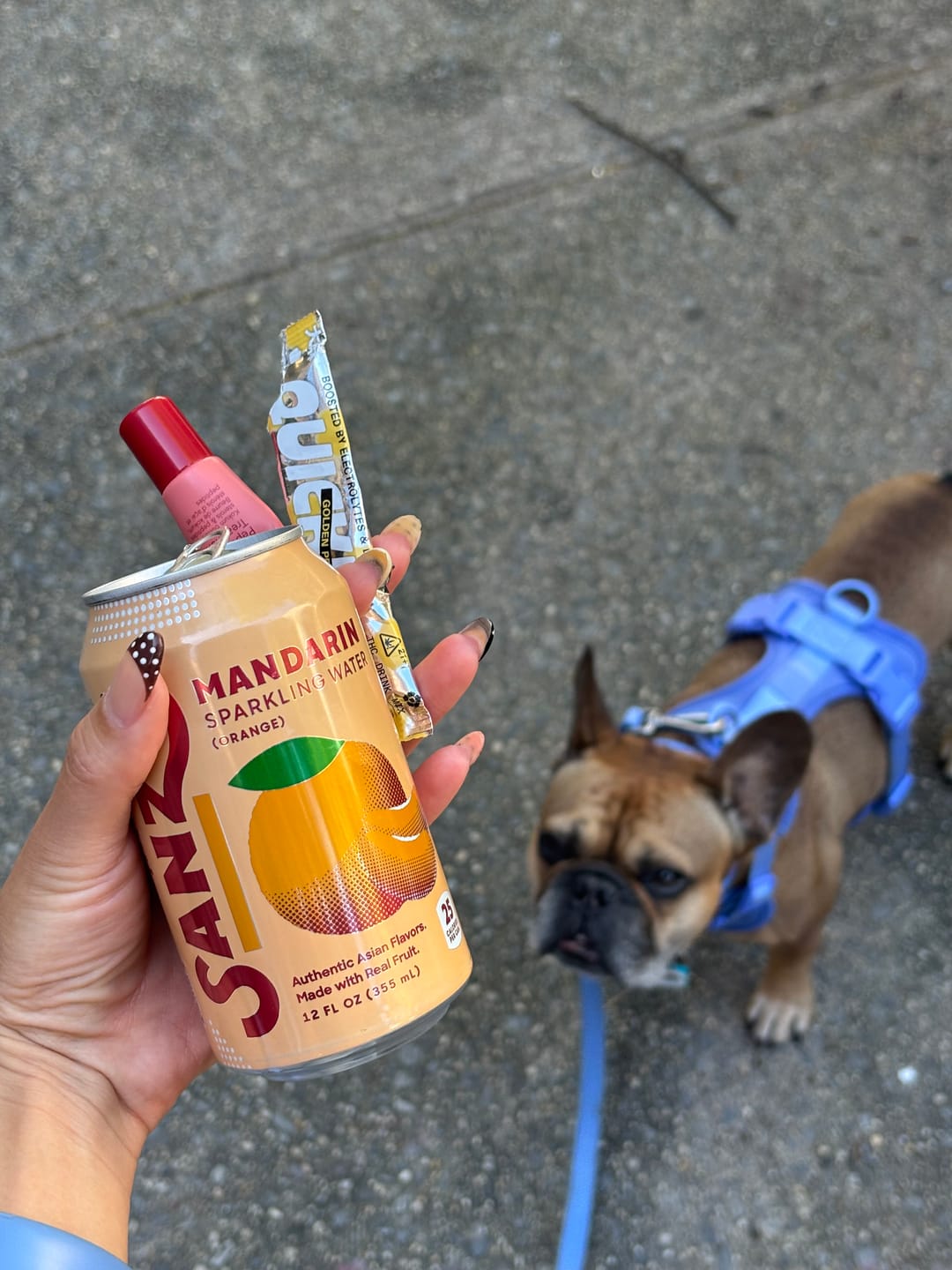 Customer photo review of Quickies Variety Pack