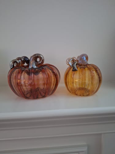 Customer photo review of the Harvest Pumpkin
