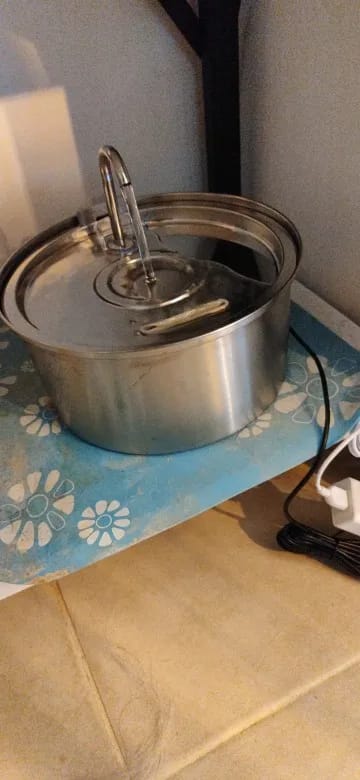 Customer photo review of Fontaine à eau Anti-Bactérienne - Chien & Chat