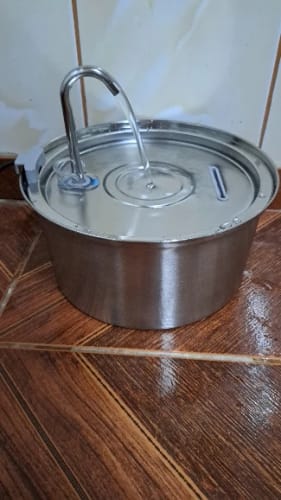 Customer photo review of Fontaine à eau Anti-Bactérienne - Chien & Chat
