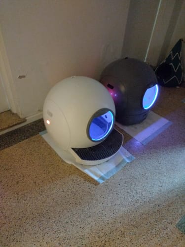 Customer photo review of AutoClean Max Automatic Self Cleaning Cat Litter Box