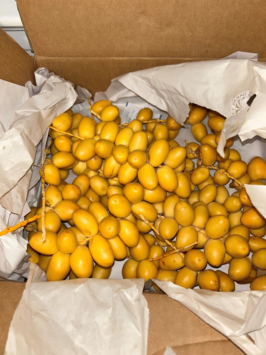 Customer photo review of Organic Yellow Barhi Dates (Khalal Barhi Dates)