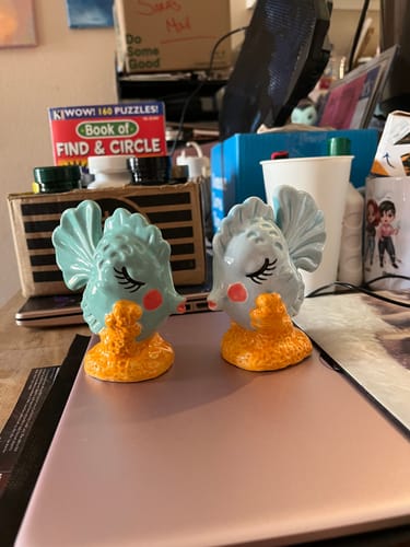 Customer photo review of Kissing Fish Salt and Pepper Shakers