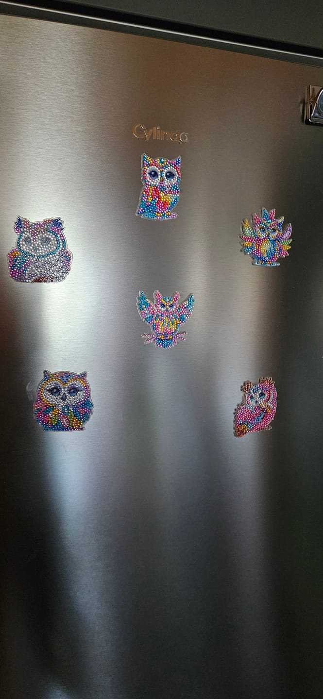 Customer photo review of Diamond Painting Magneter – Set med 6 ugglor