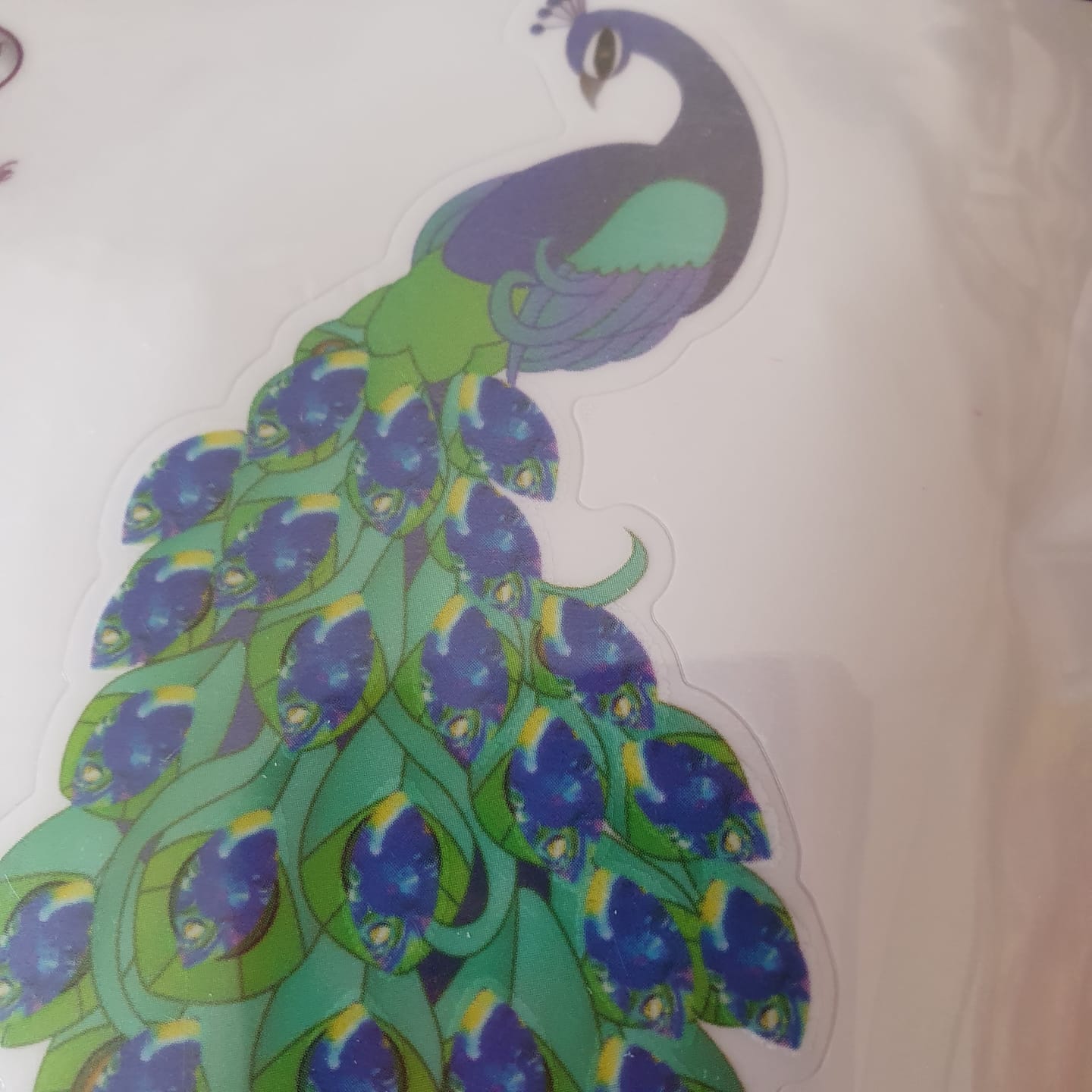 Customer photo review of "Peacock" Crystal Art Motif (With tools)