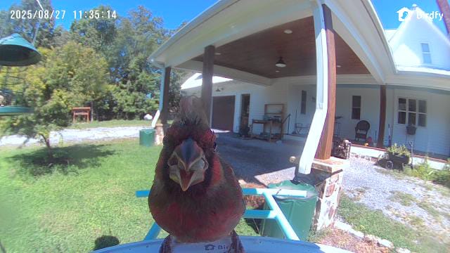 Customer photo review of Birdfy Feeder with Solar Panel - Solar-Powered Smart Bird Feeder with Camera