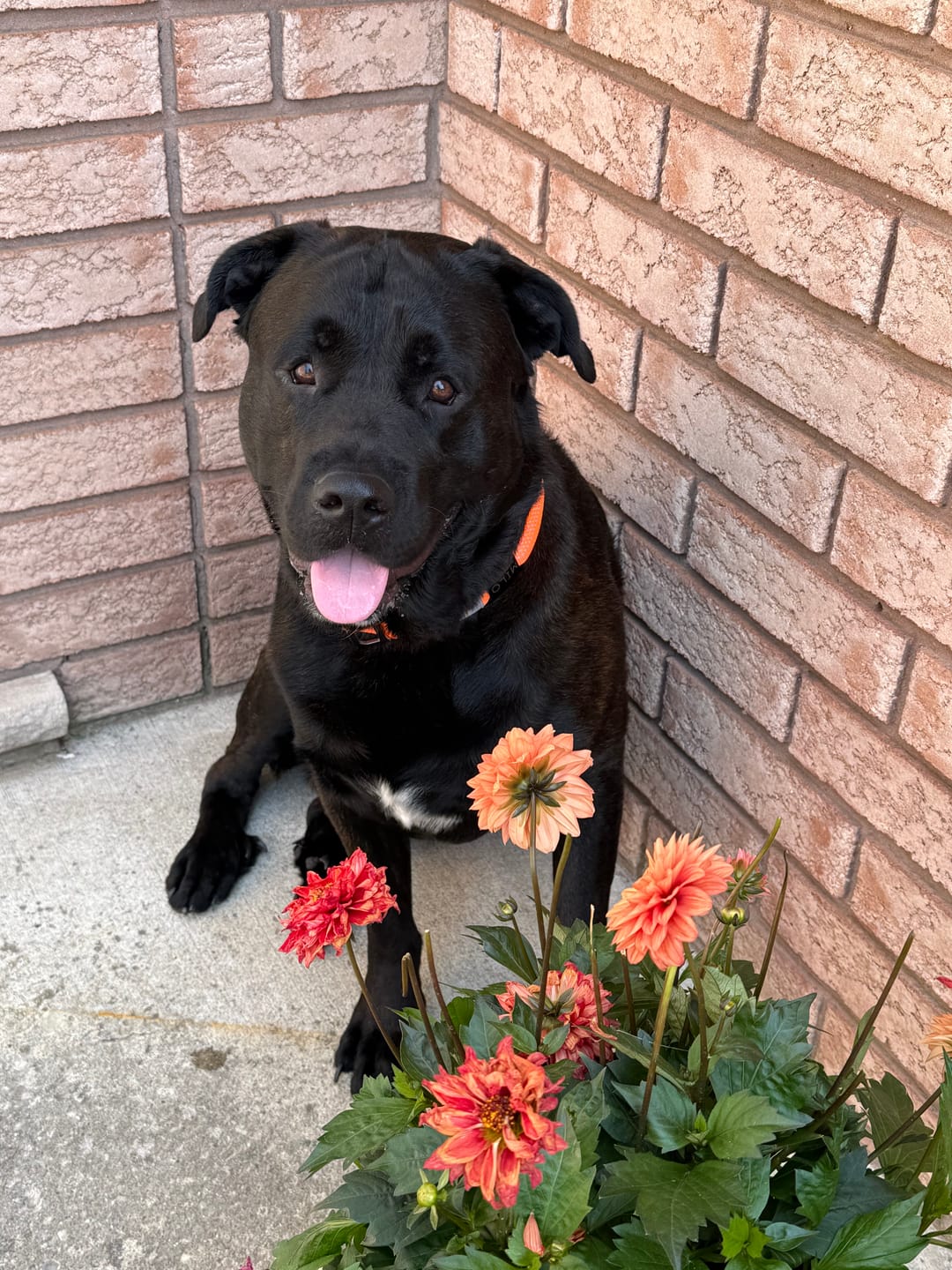 Customer photo review of Trail Mix