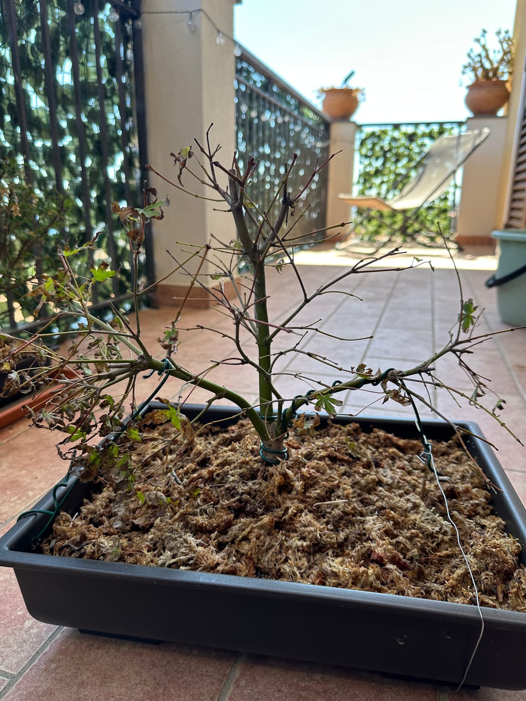 Customer photo review of PROTOCOLLO NUCLEARE CB®