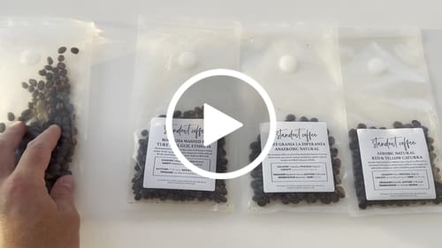 Customer video review of The Standout Coffee Sample Pack
