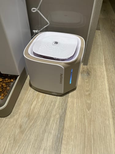 Customer photo review of Pet Water Fountain