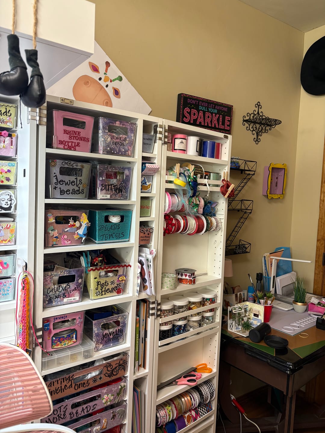 Customer photo review of DreamBox
