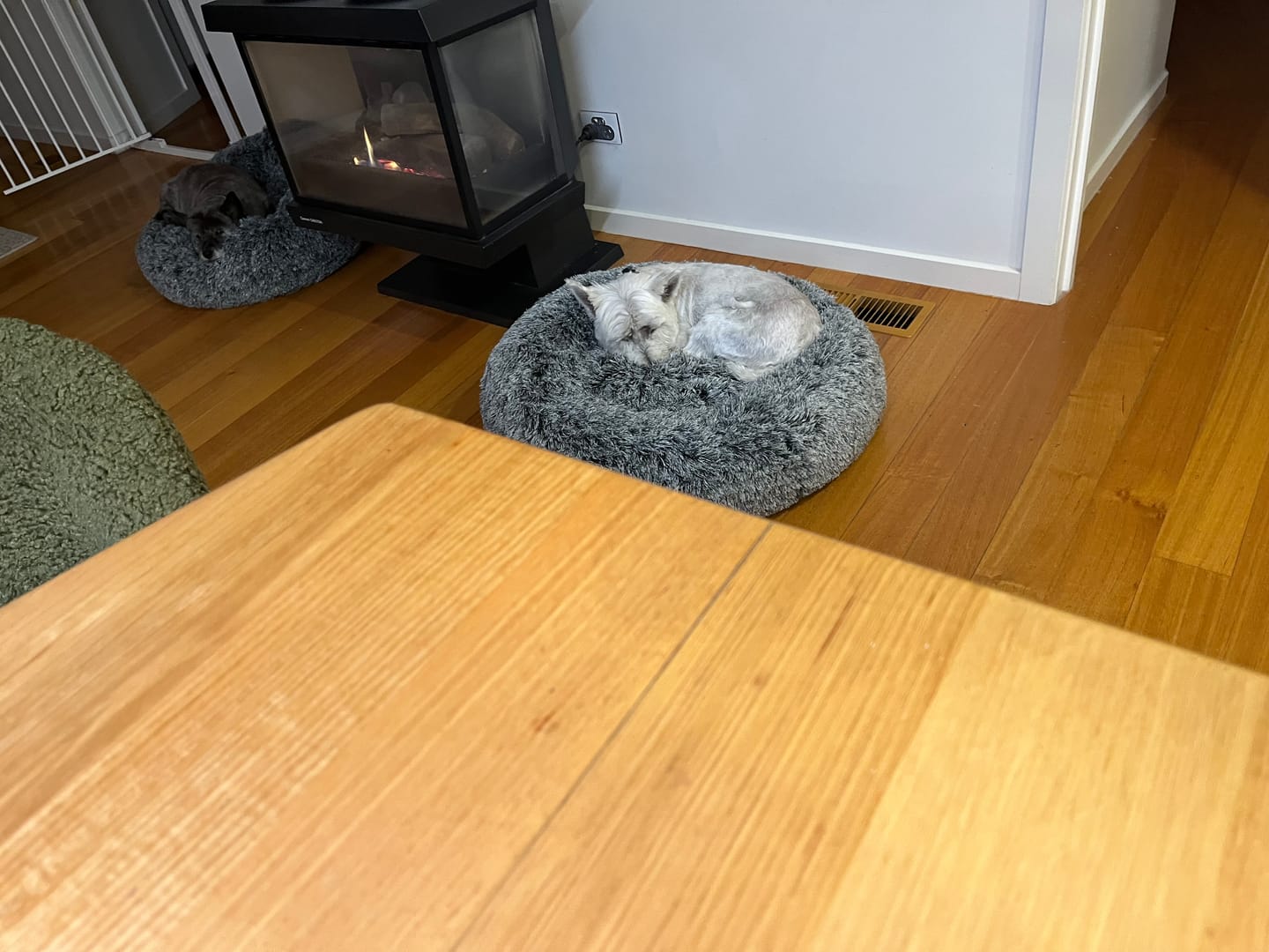 Customer photo review of Premium Calming Pet Bed with Removable Cover