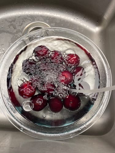 Customer photo review of Professional Air Ozone Generator Machine 600 mg/h