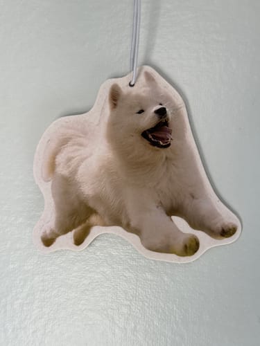 Customer photo review of Custom Air Freshener