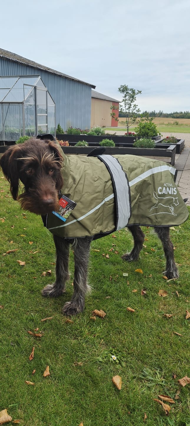 Customer photo review of Active Canis - 2-i-1 Hundejakke, khaki
