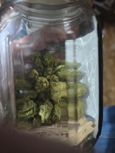 Customer photo review of Super Lemon Haze - 28 Grams Minis (Sativa)