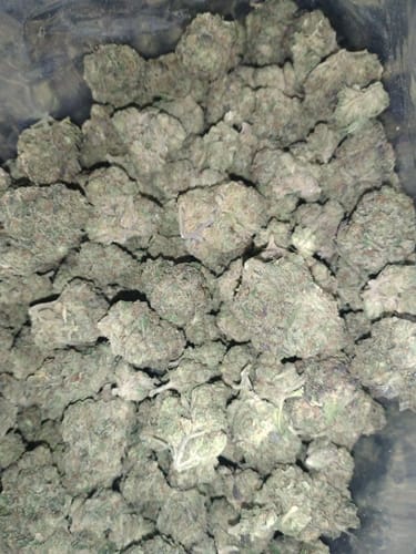 Customer photo review of Star Boy THCA Flower