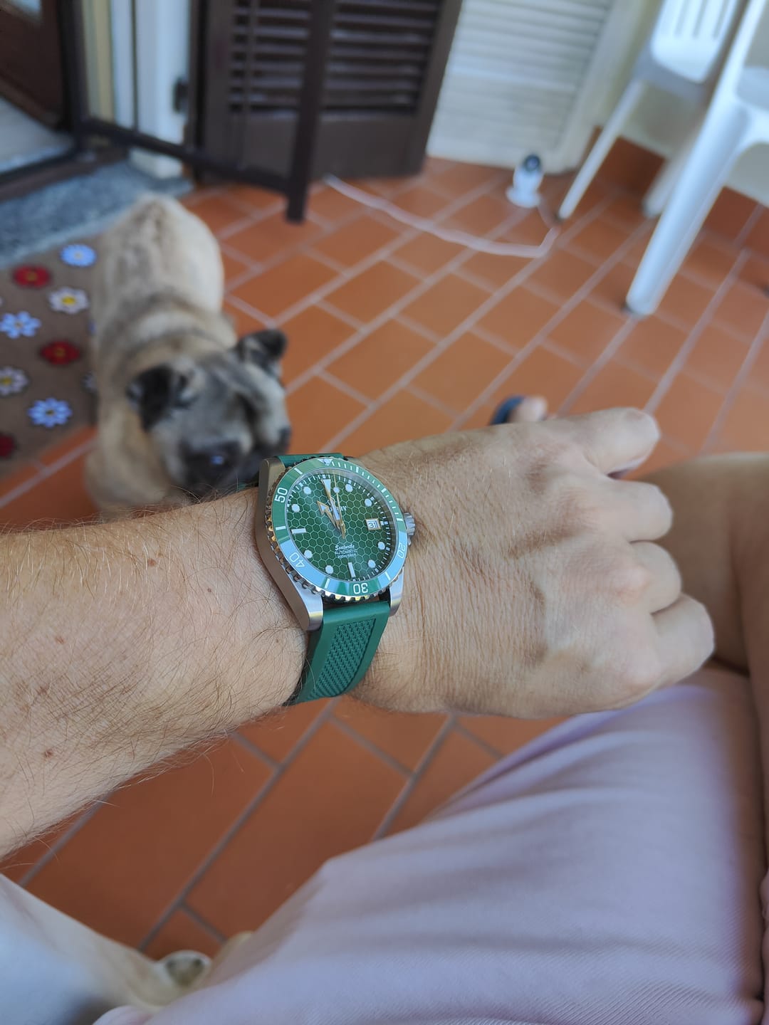 Customer photo review of SEATURTLE.OCEAN(TITANIUM) - Automatic Titanium Diver Watch | Turtle Green