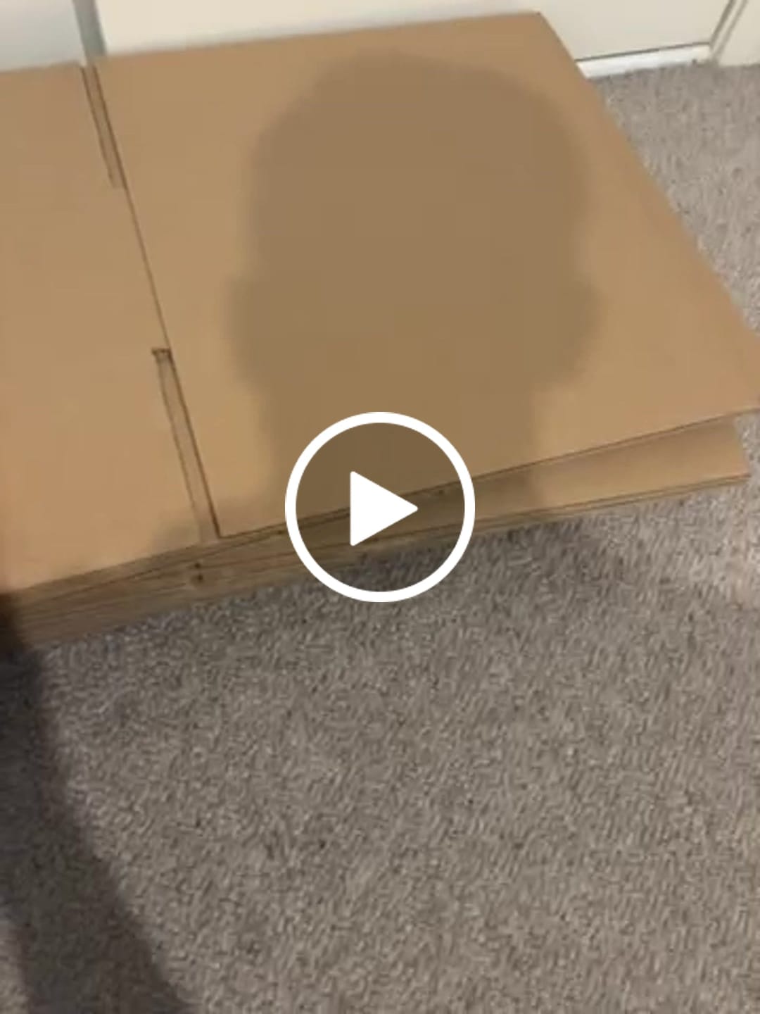 Customer video review of 390 x 280 x 140mm Regular Brown Shipping Carton B908