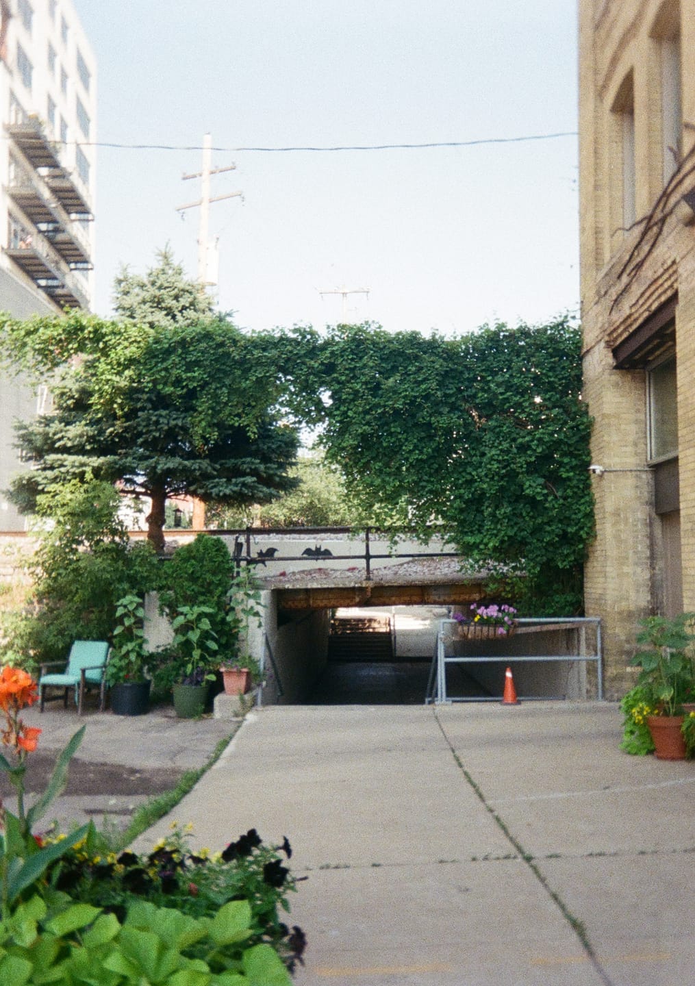Customer photo review of 35mm Film Processing