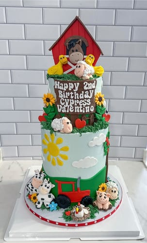 Customer photo review of Cake Lifter (21 cm)