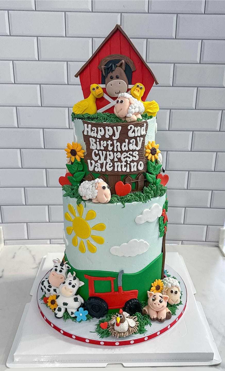 Customer photo review of Cake Lifter (21 cm)