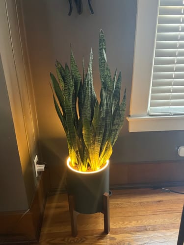 Customer photo review of Round LED Planter- Luna White
