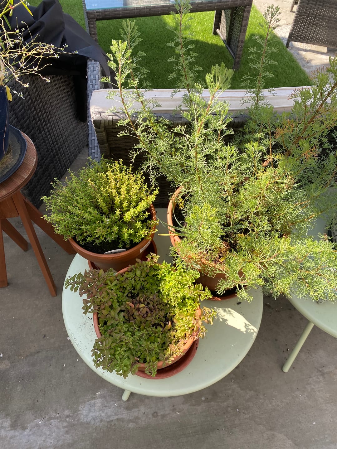 Customer photo review of Elm Power Bundle