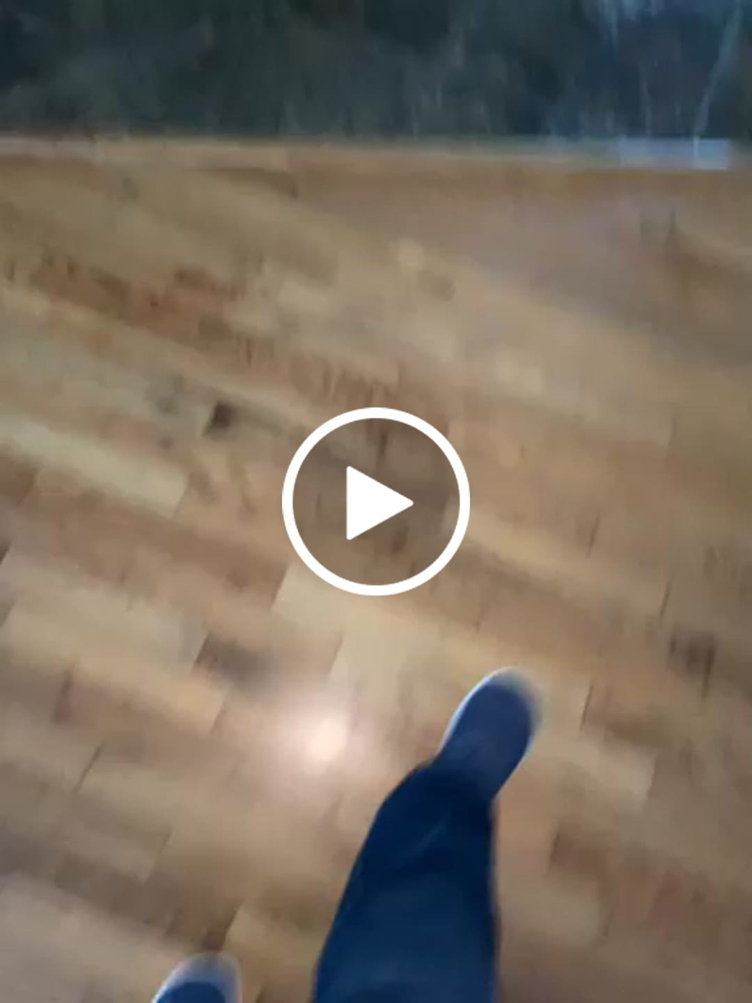 Customer video review of Clover - Barefoot Shoes