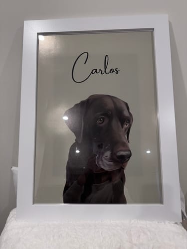 Customer photo review of Detailed Pet Portrait