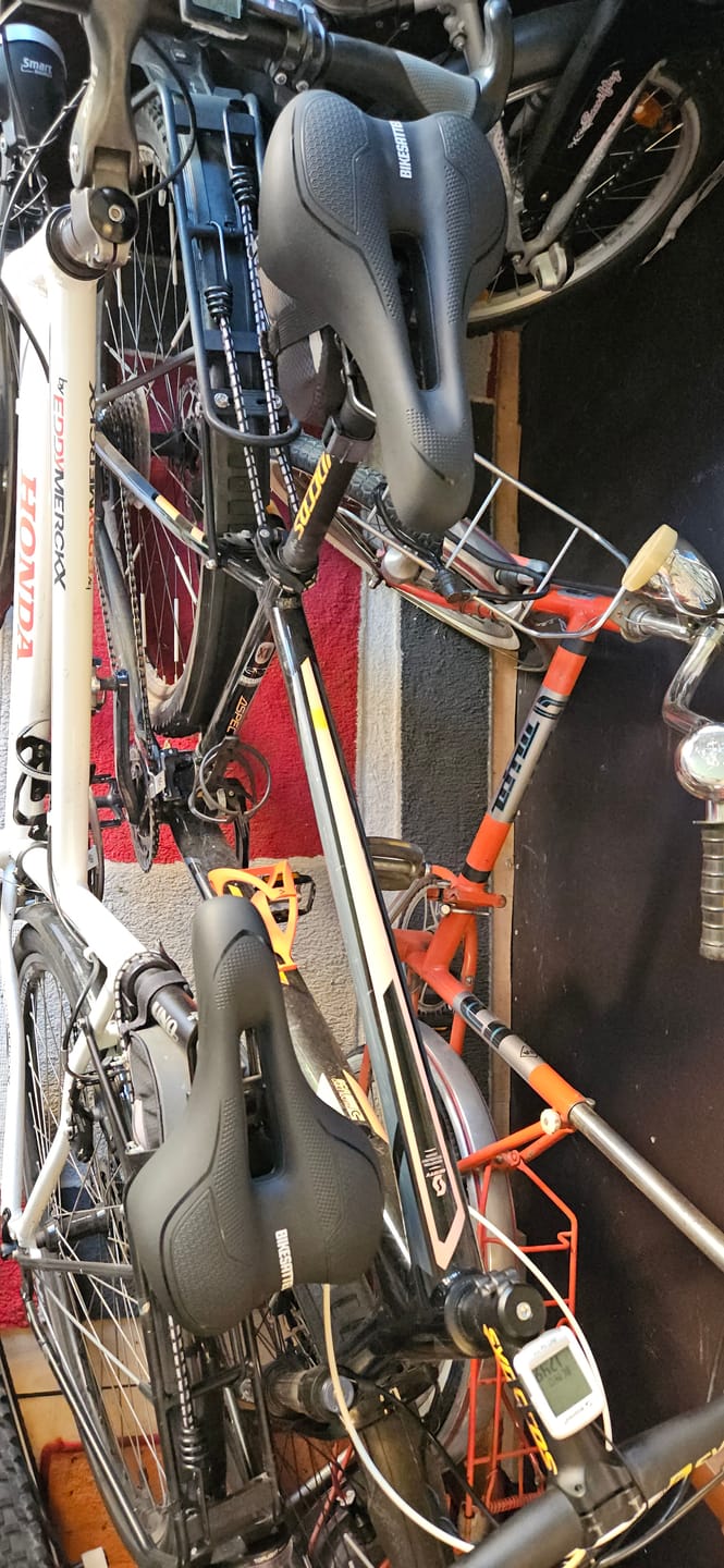Customer photo review of Bikesattel - Premium Universal Sattel