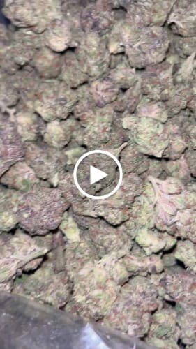 Customer video review of GDP THCA Flower