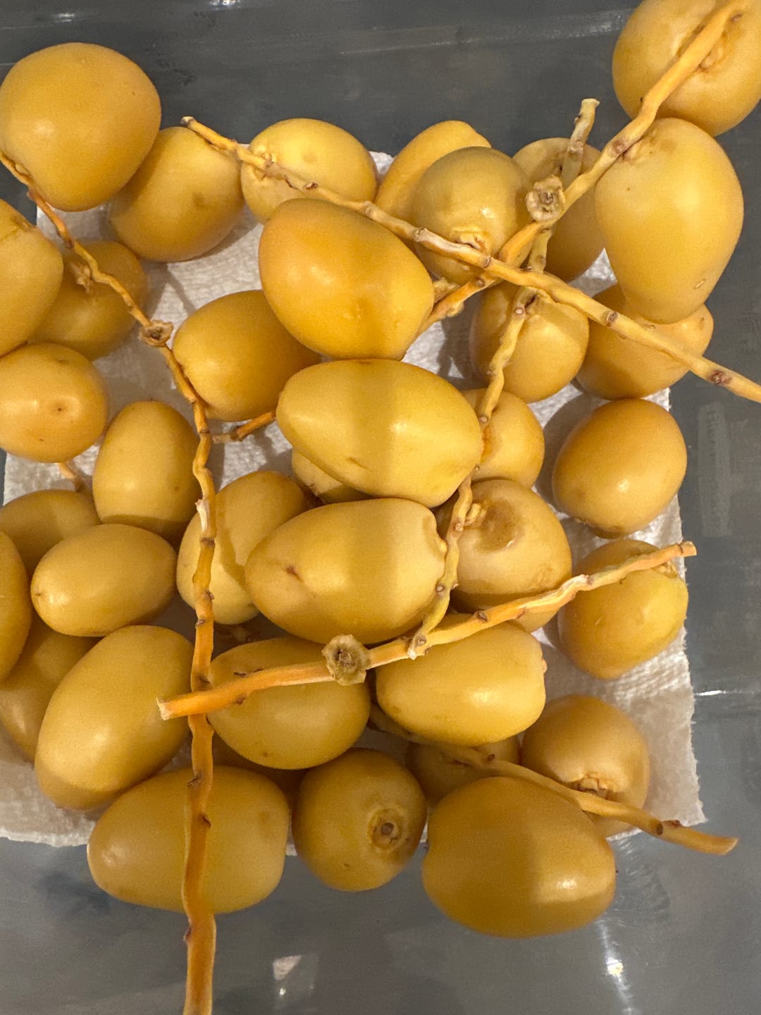 Customer photo review of Organic Yellow Barhi Dates (Khalal Barhi Dates)