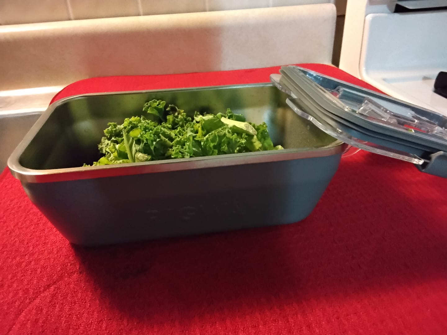 Customer photo review of Travel Bento Box (8x5)