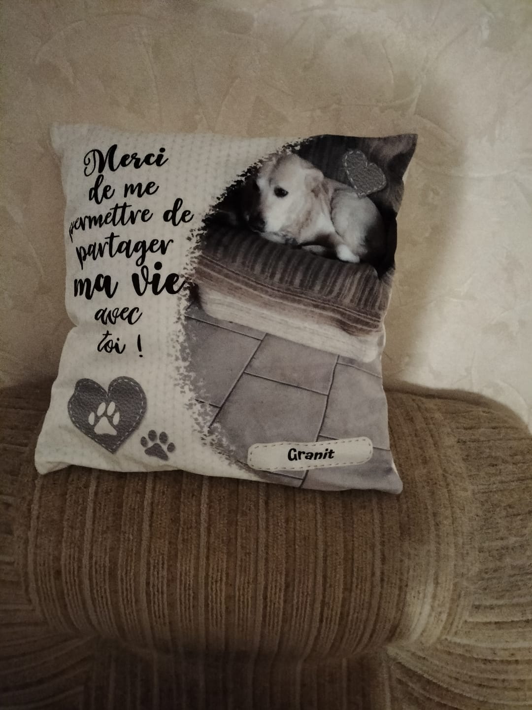 Customer photo review of Merci - Coussin personnalisé
