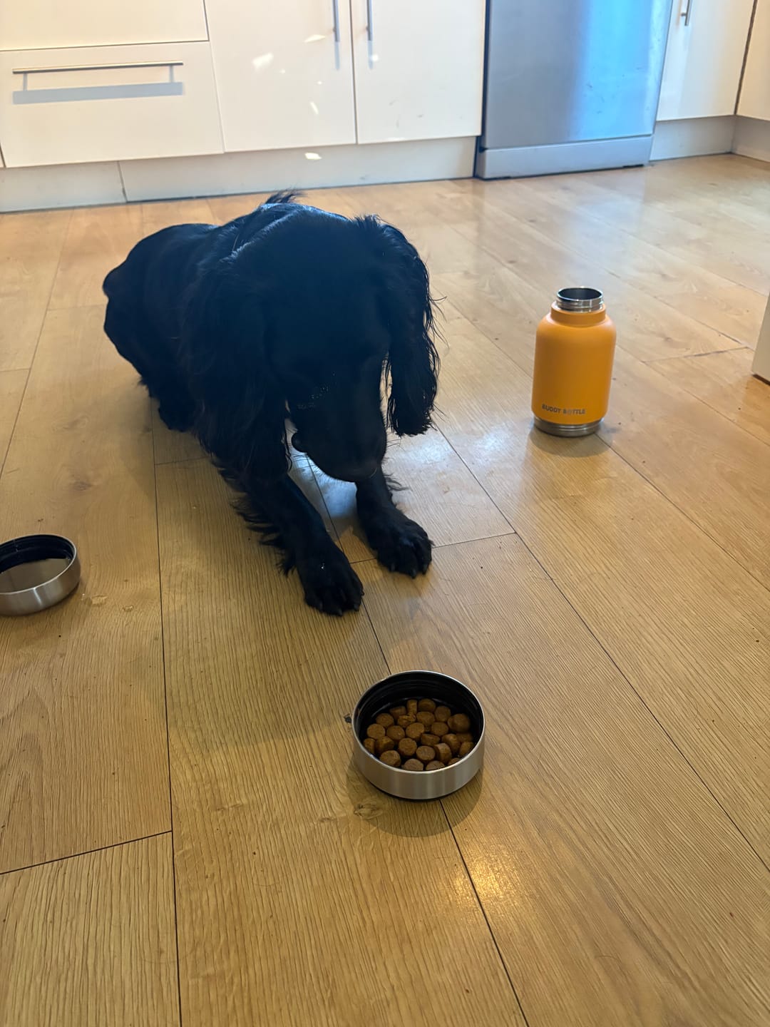 Customer photo review of SUNSHINE SIPPER - 3 in 1 Portable Travel Water Buddy Bottle For Dogs