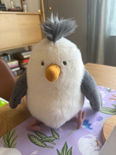 Customer photo review of Chip Seagull | Jellycat
