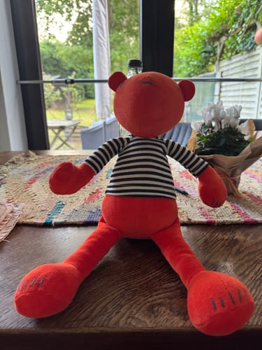 Customer photo review of JERMAINE, L’OURSON - GRAND