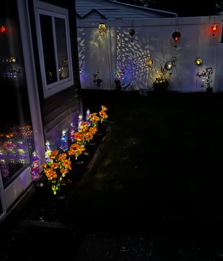 Customer photo review of GardenMate™ - Solar Sunflower LED Lights