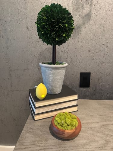 Customer photo review of Lem Clitoral Massager