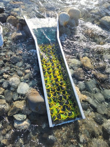 Customer photo review of Seconds and imperfect Dream mats