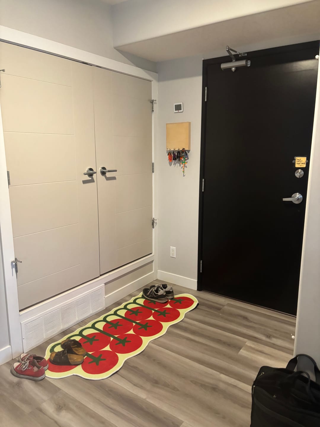 Customer photo review of Irregular Tomato Runner Rug by Johann Banta