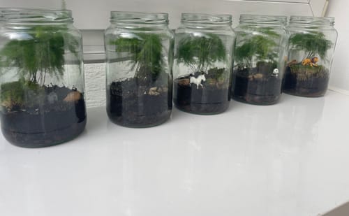 Customer photo review of Flaschengarten-Kindergeburtstags-Set