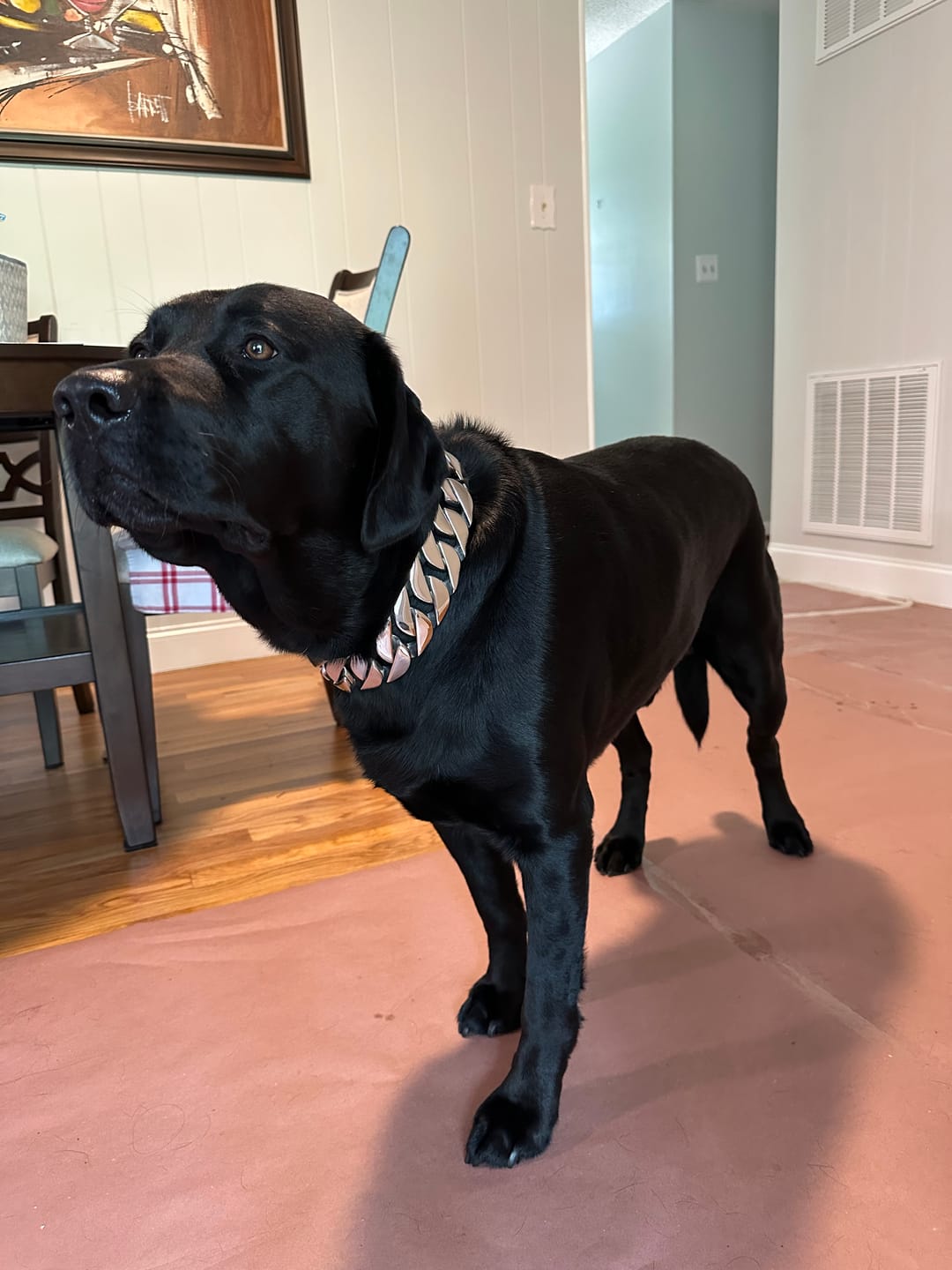 Customer photo review of THE GOLIATH