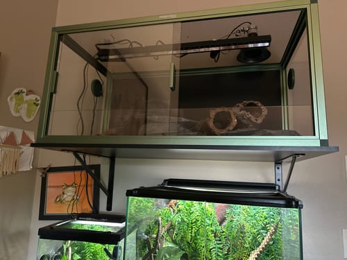 Customer photo review of 50 Gallon Reptile Enclosure 36x18x18