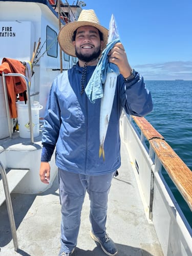 Customer photo review of 8Ft No Excuses Travel Rod with Tube Medium-Heavy Action 1/2oz to 2oz